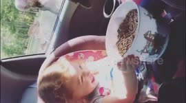 Girl Feeds Crazy Rhea