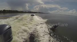 Dolphins jump in boat's wake while kids ride inflatable tube