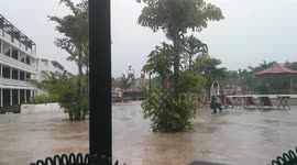 Come to Mexico they said