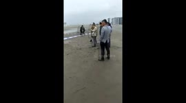 鲸鱼搁浅多部门营救助其返回大海