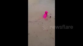 Scooter driver ploughs through elbow-deep water during Storm Haikui