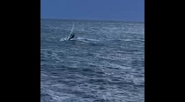 Man Wind-Surfing at Brighton Beach Australia