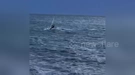 Newsflare Edit - Man Wind-Surfing at Brighton Beach Australia