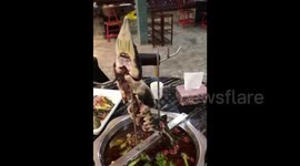 Dissected fish hanging above hot pot still moves