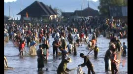 Carotai is a tradition of Minangkabau society