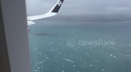 Freaky landing in Wellington