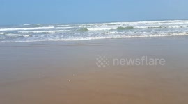 Waves on a beach