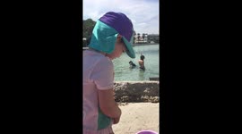 Daughter it’s a spider (a crab) on holiday alcudia Mallorca