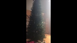 skyes Christmas tree adventure