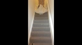 Stair Slide
