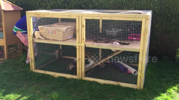 Ferret falls down hole