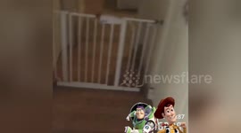 Newsflare Edit - Dad surprises son with a woody doll (Favorite Disney Character) for Christmas