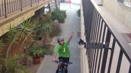 Cat high fives kid on a bike