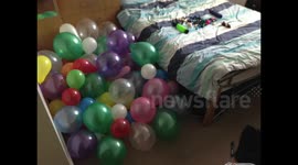 Balloon Room Prank - Unedited