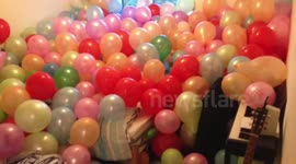 Pranksters fill housmate's bedroom with thousands of balloons