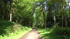 Family Fun Cycle Event - Hulne Park - Alnwick