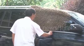 Car Turned into S.U. BEE