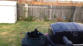 This frisbee is a real asshole