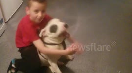 Oskar & Bullseye