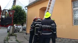 cat rescued from a roof