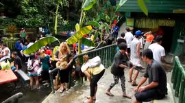 Waterfall restaurant in the Philippines