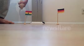 Rat Oracle FIFA WC 2014 Ghana vs Germany