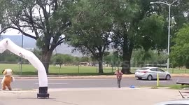 Big Dog Mascot VS. Homeless Guy - Dance Off!