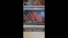 Drunk Carrots in the fridge