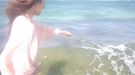 Sea Turtles