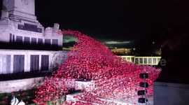 Plymouth Hoe looks magical at night
The poignant display is lit up at night - and it is breath taking