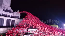 An amazing poppy display for naval memorial