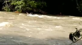 Rescuer falls into raging river in failed attempt to help woman