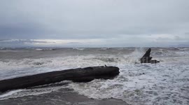 Vancouver Wind Storm