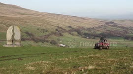 Shepherd Gathering Sheep With The Help Of His Two Border Collies And A Quad Bike