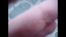 Fighting Greek Bouncers