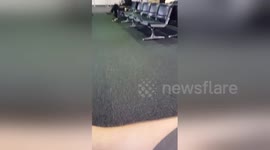 Newsflare Edit - Drunk lady tumbles at LAX