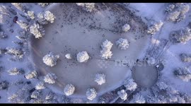 Stunning drone video shows traditional reindeer round-up