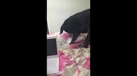 Working from home issues