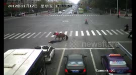 Car knocks down horse running red light
