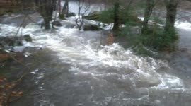 High river levels across Cumbria have led to flooding and road closures and the risk of further flooding overnight as levels are set to continue rising as the rain continues.