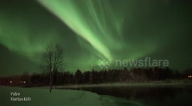 November 21 Auroras