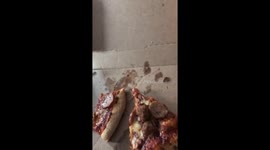 Trying to eat pizza in peace but being judged from above