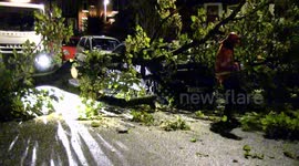 TREE FALLS ON BMW DURINGTHUNDER STORM