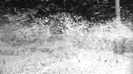 SEA FOAM CAUSES CHAOS ON FYLDE COAST 3