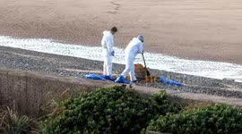 Harmful substance found on beach may have come from 90s ship wreck during recent storms.