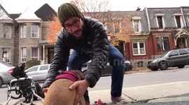 YouTuber Viva Frei shows how to express paralyzed dog to go to the bathroom