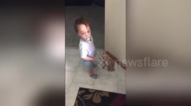 One-year-old scared by aunt's puppy stares at porcelain dog instead