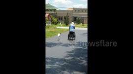 'Birds and old people - welcome to Florida'