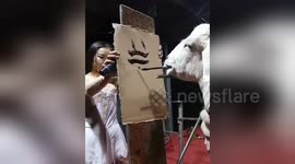 This goat can write in Chinese characters with its mouth