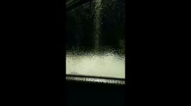 Freezing Rain Leaves Ice Sheet on Window